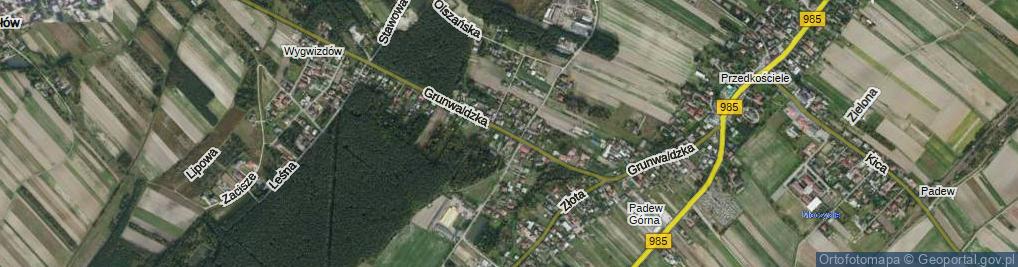 Zdjęcie satelitarne Grunwaldzka ul.